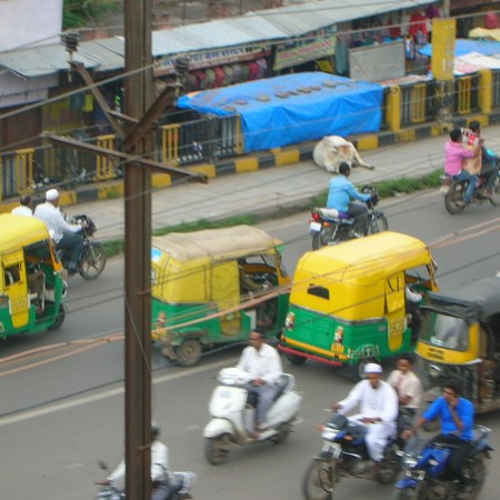 rickshaws held up by cows in Indore, India, photo by Matt Birkinshaw