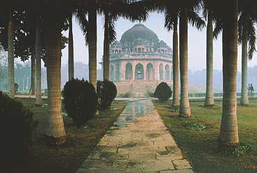 lodhi_garden_trees_20060605